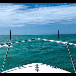 Meet your Posher, Shannon